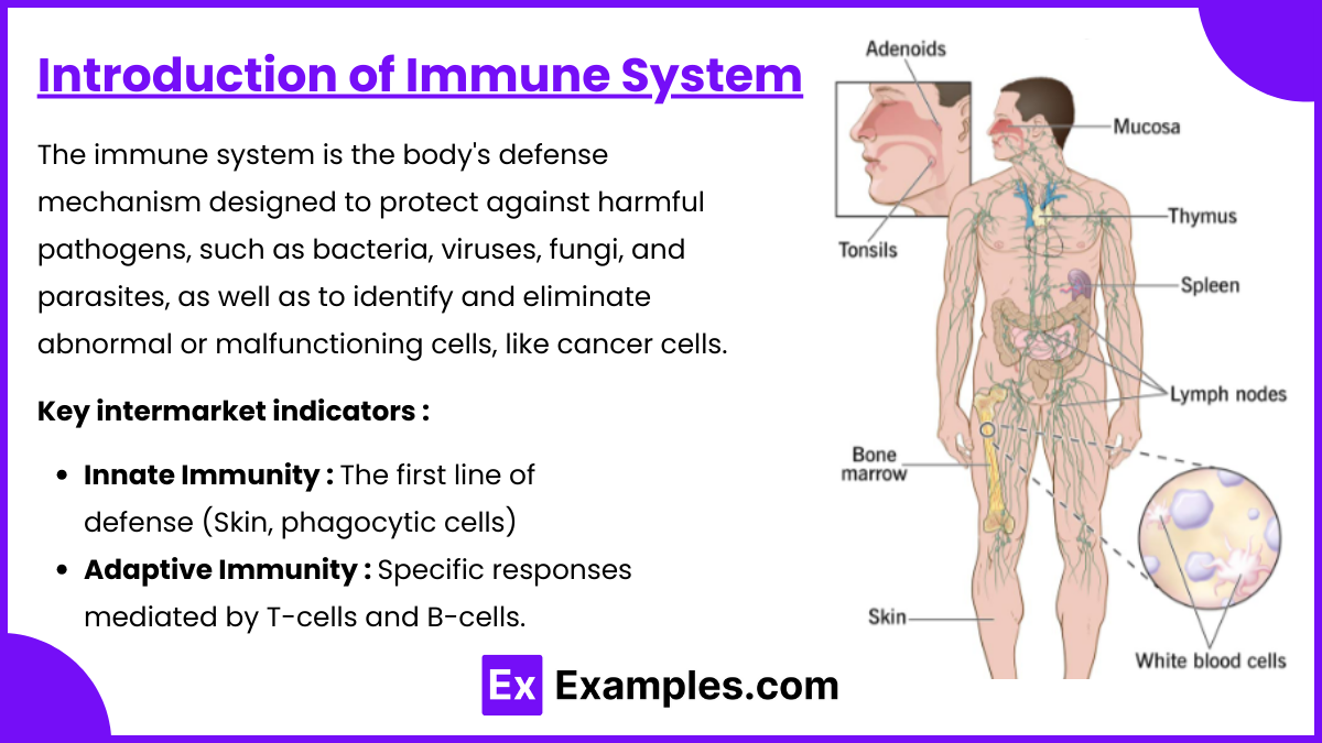 Introduction of Immune System