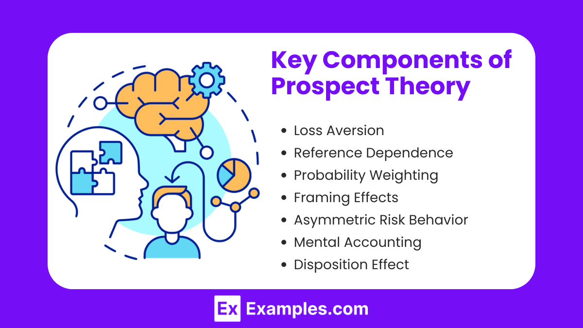 Key Components of Prospect Theory