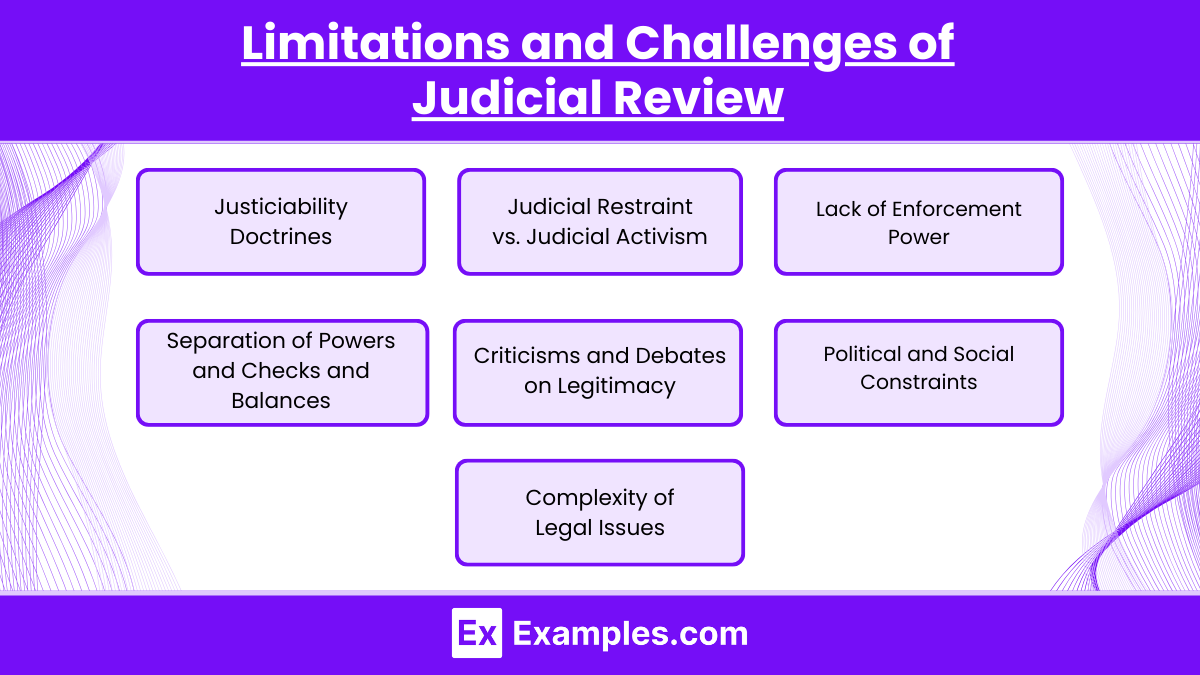 Limitations and Challenges of Judicial Review