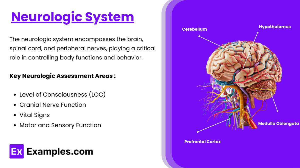 Neurologic System