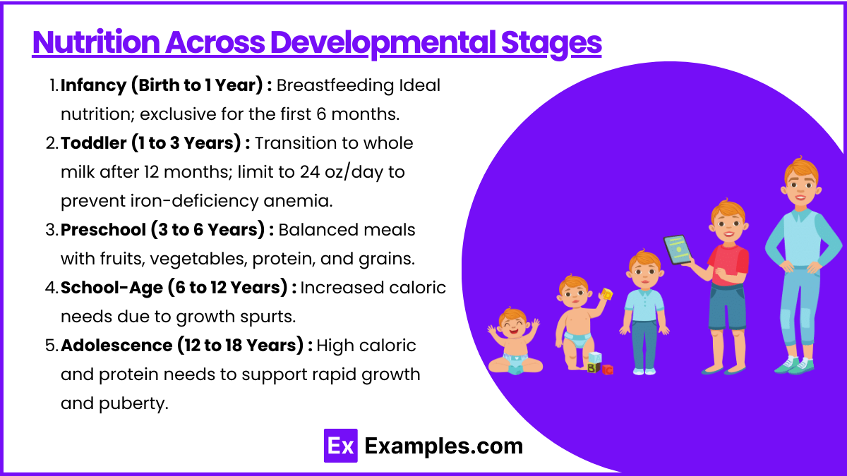 Nutrition Across Developmental Stages