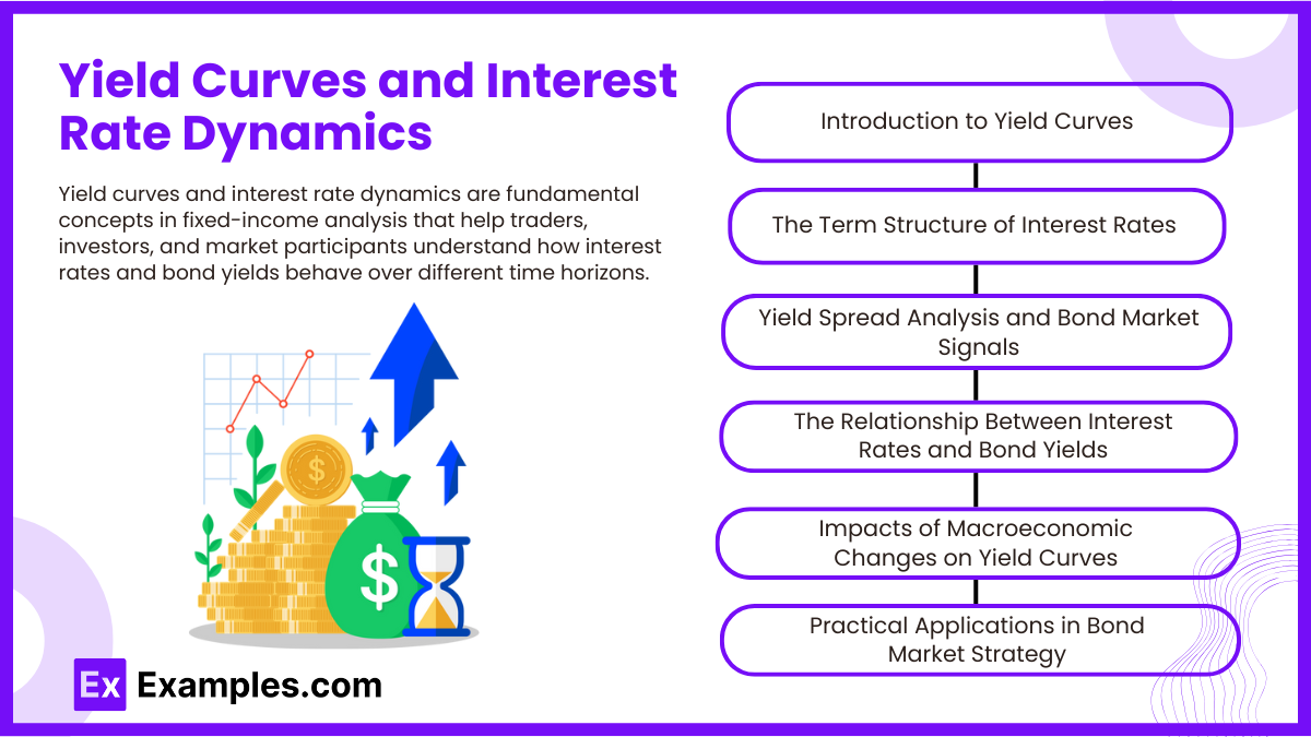 Yield Curves and Interest Rate Dynamics