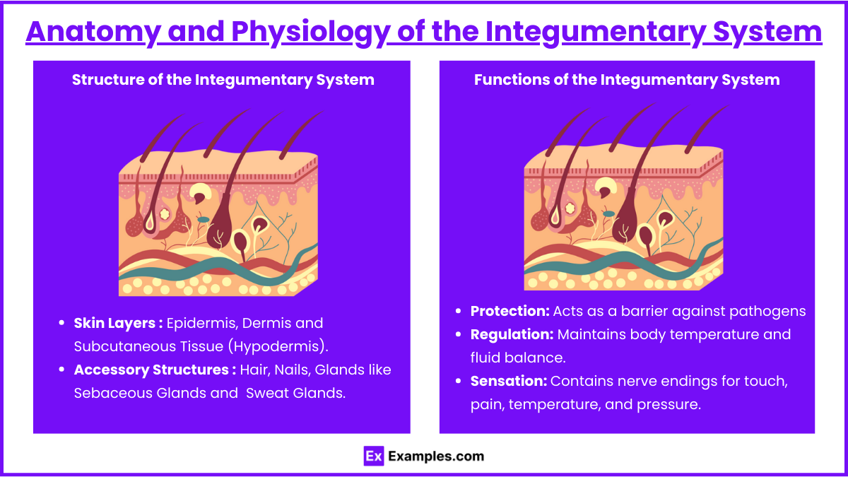 Nursing Assessment and Interventions