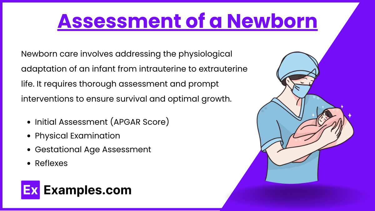 Assessment of a Newborn