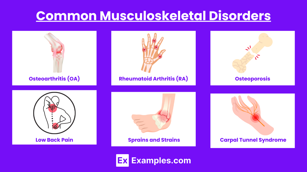 Common Musculoskeletal Disorders