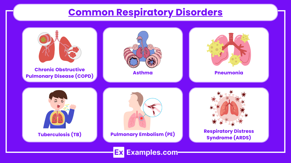 Common Respiratory Disorders