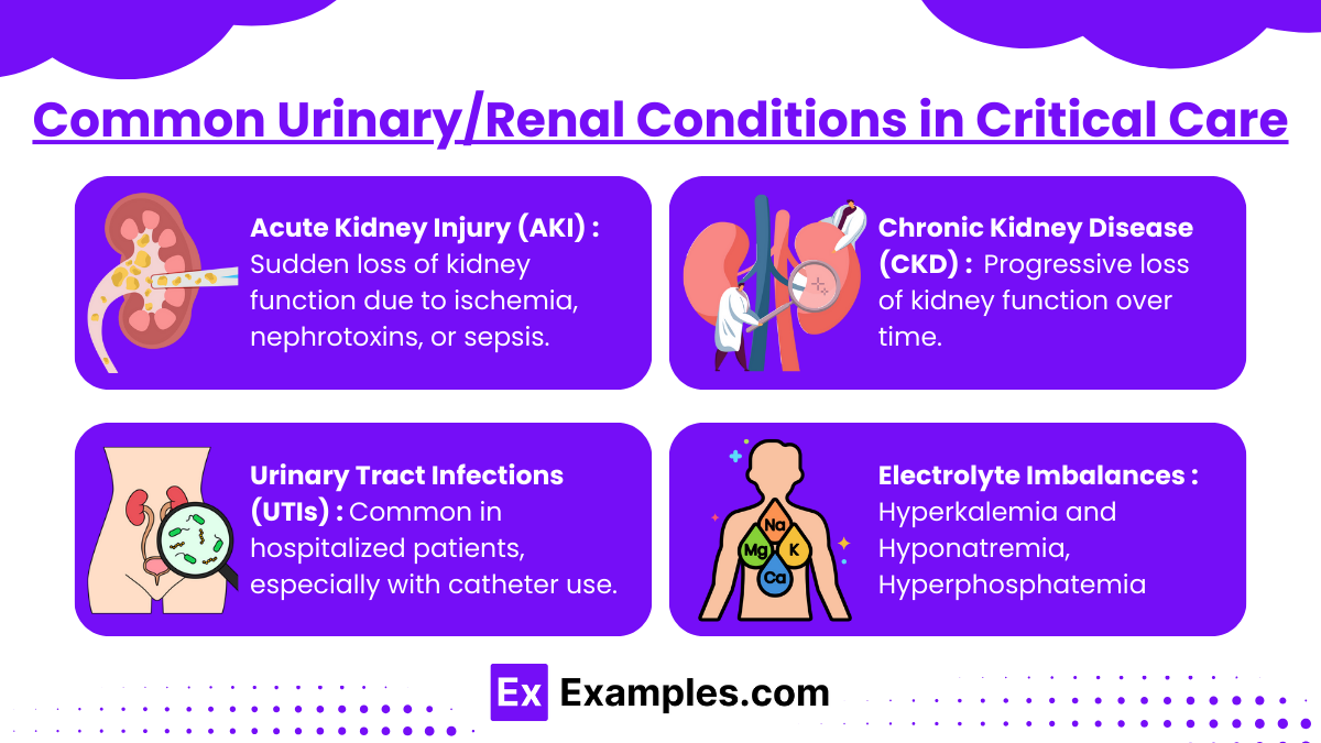 Common Urinary/Renal Conditions in Critical Care