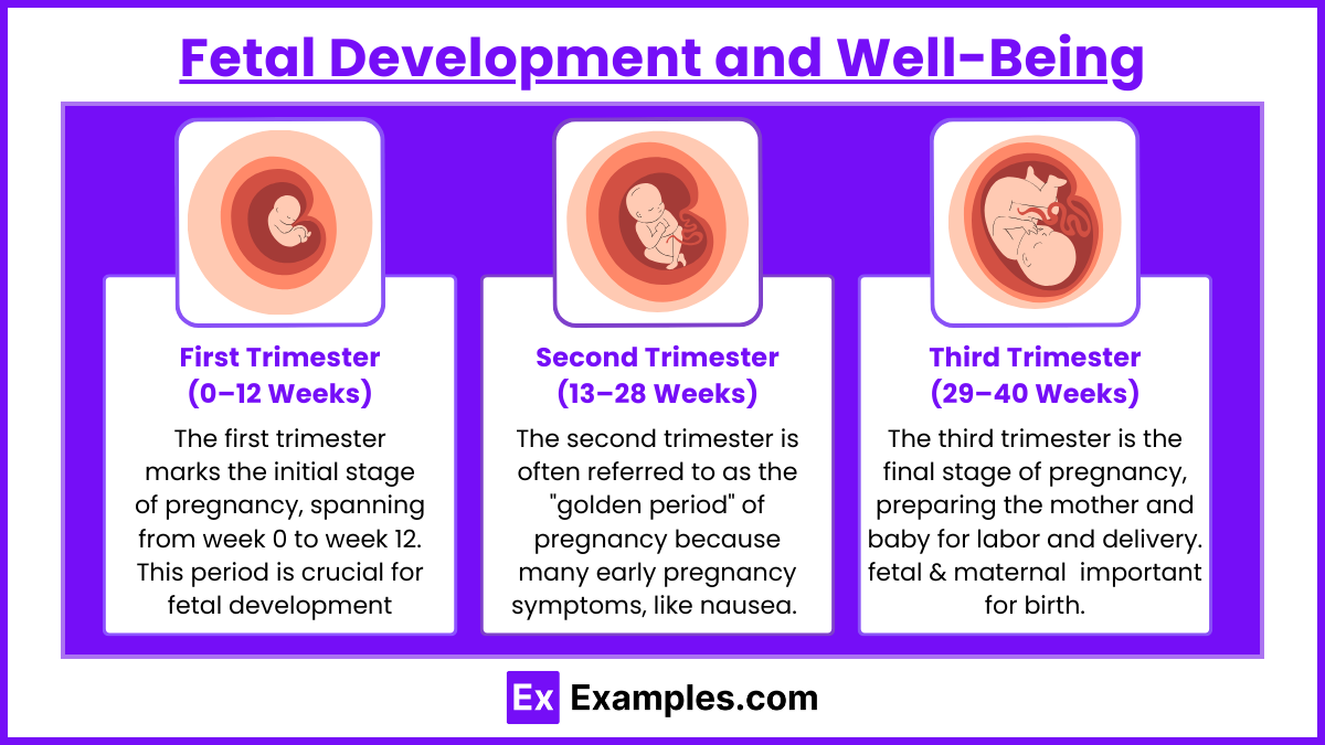 Fetal Development and Well-Being