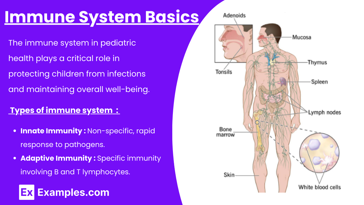 Immune System Basics