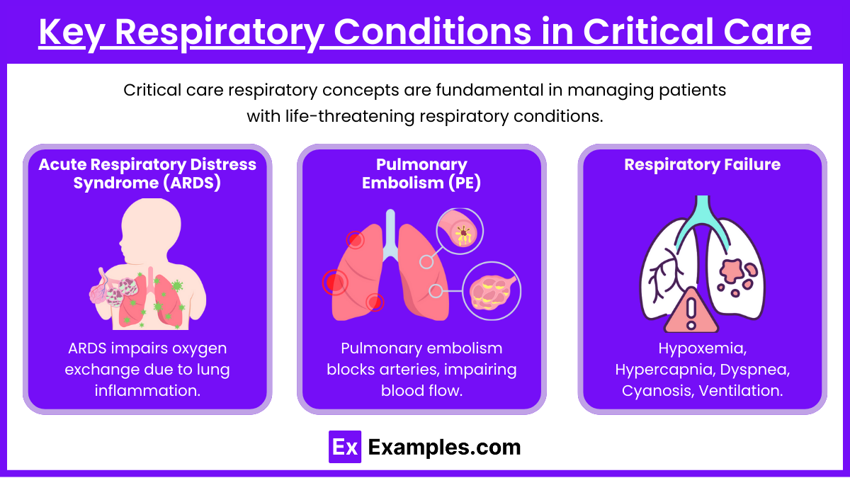 Key Respiratory Conditions in Critical Care