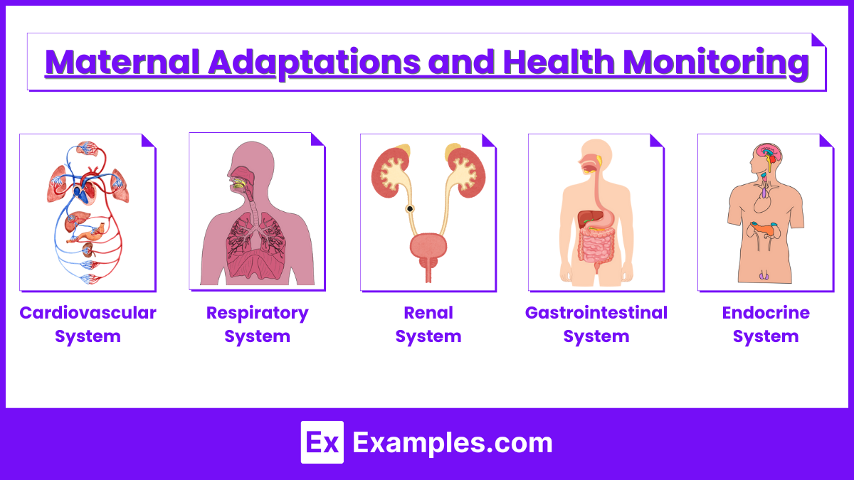 Maternal Adaptations and Health Monitoring