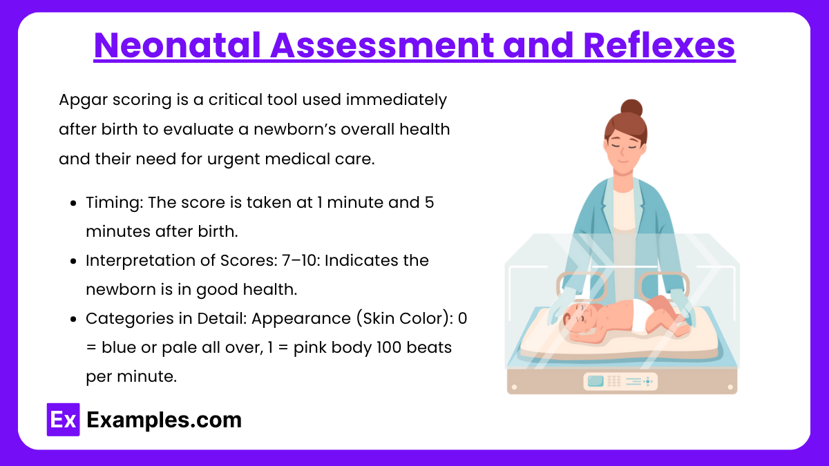 Neonatal Assessment and Reflexes