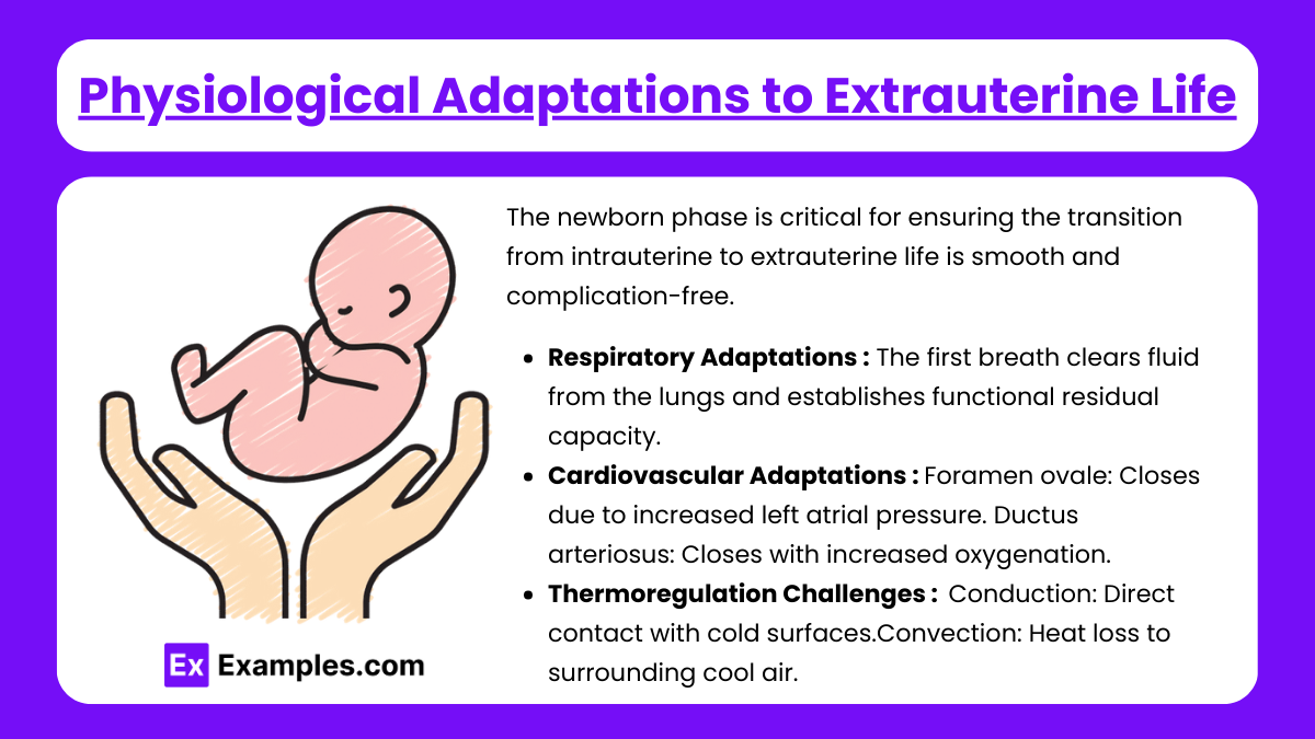 Physiological Adaptations to Extrauterine Life