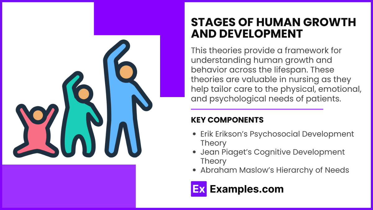 Stages of Human Growth and Development