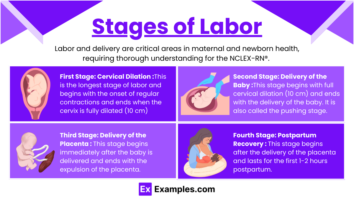 Stages of Labor