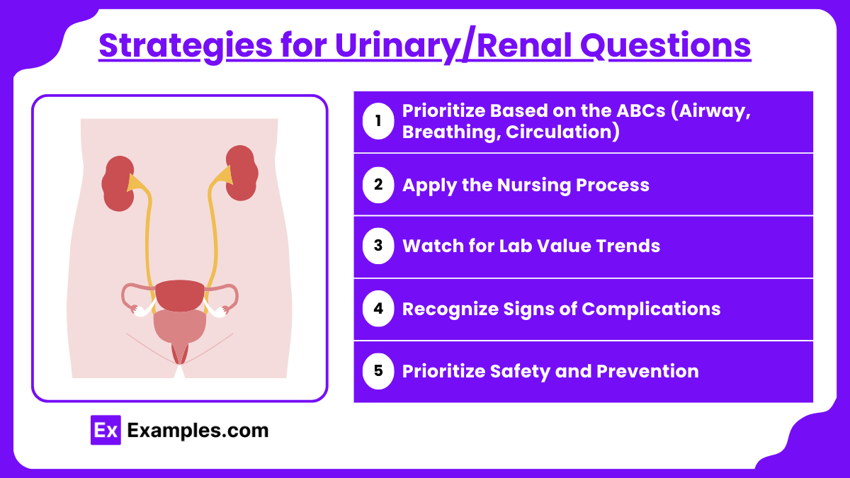 Strategies for Urinary/Renal Questions