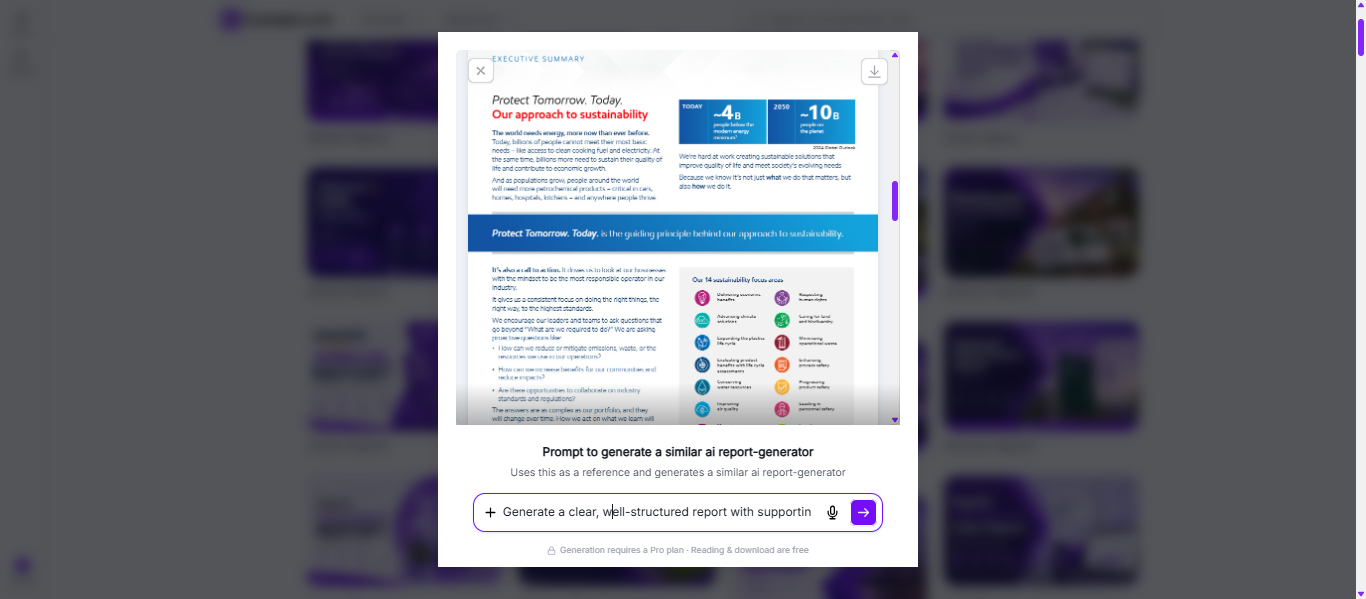 Report Examples