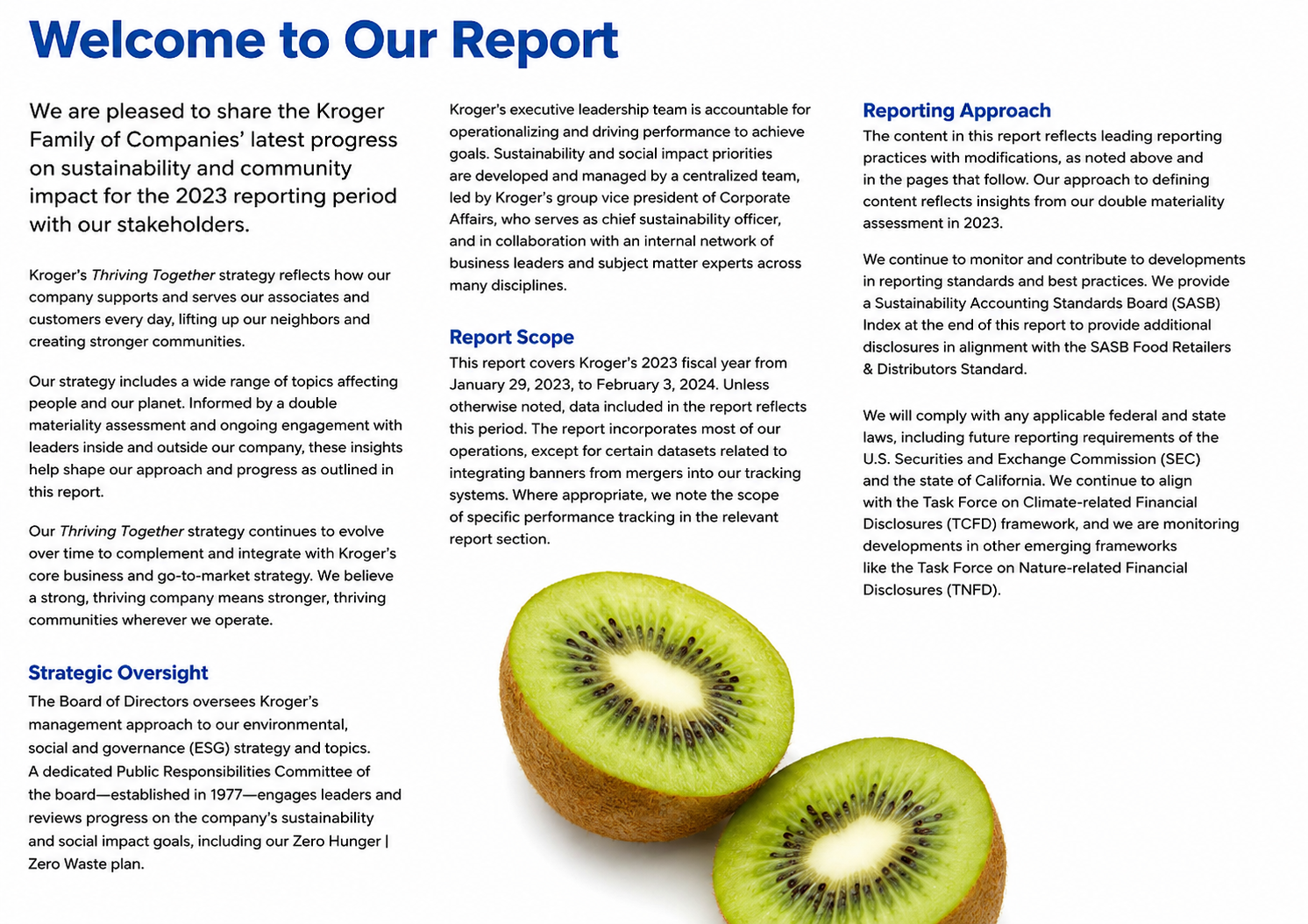 Kroger Reports  - Free AI Report Generator, 50+ Real Report Examples
