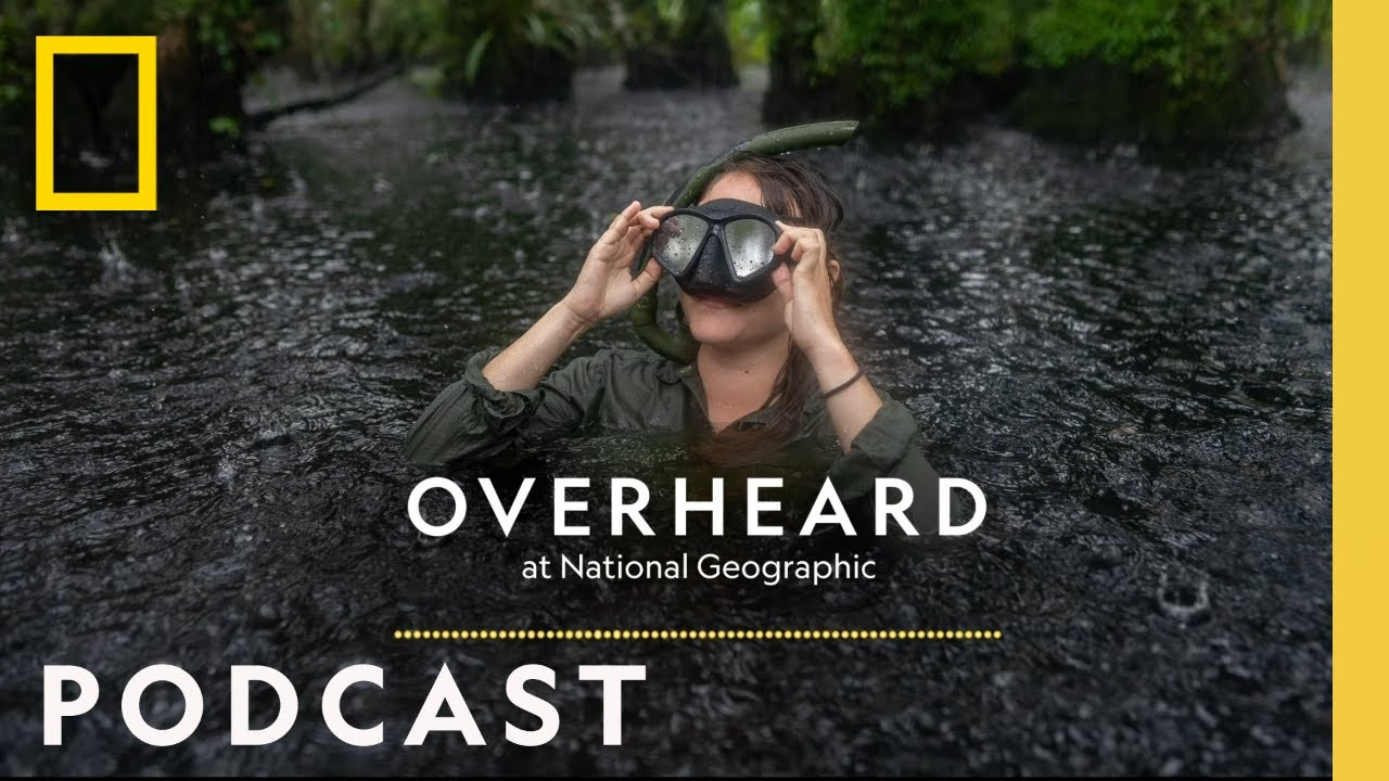 National Geographic Podcast Cover Example - Podcast Covers Examples, AI Podcast Cover Generator