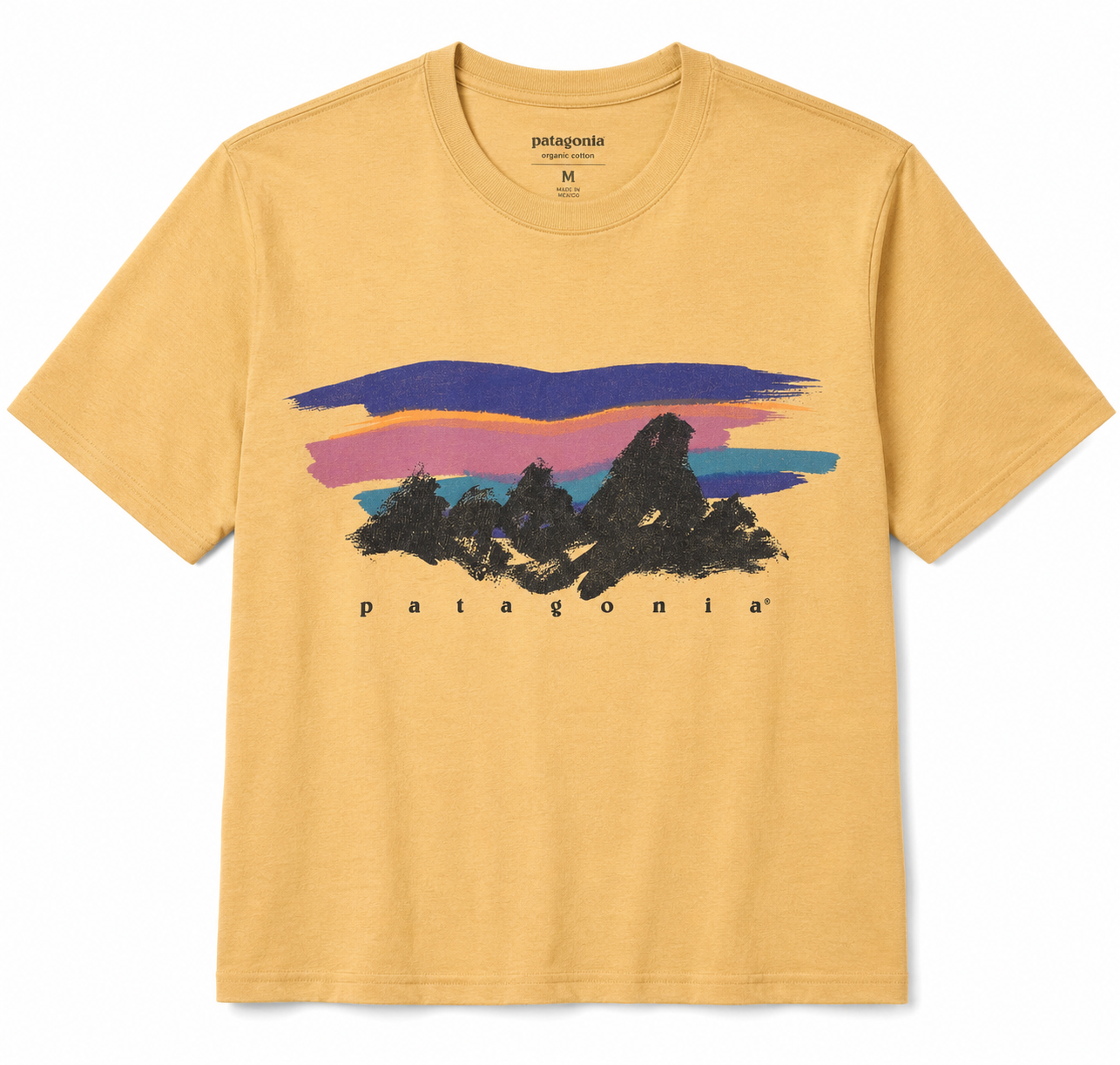 Patagonia T-Shirts Examples - T-Shirt Examples, AI T-Shirt Generator