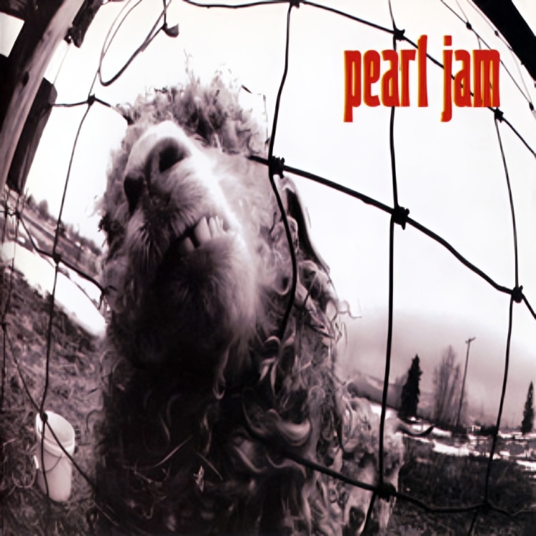 Pearl Jam Album Cover  - Free AI Album Cover Generator, 50+ Real Album Cover Examples