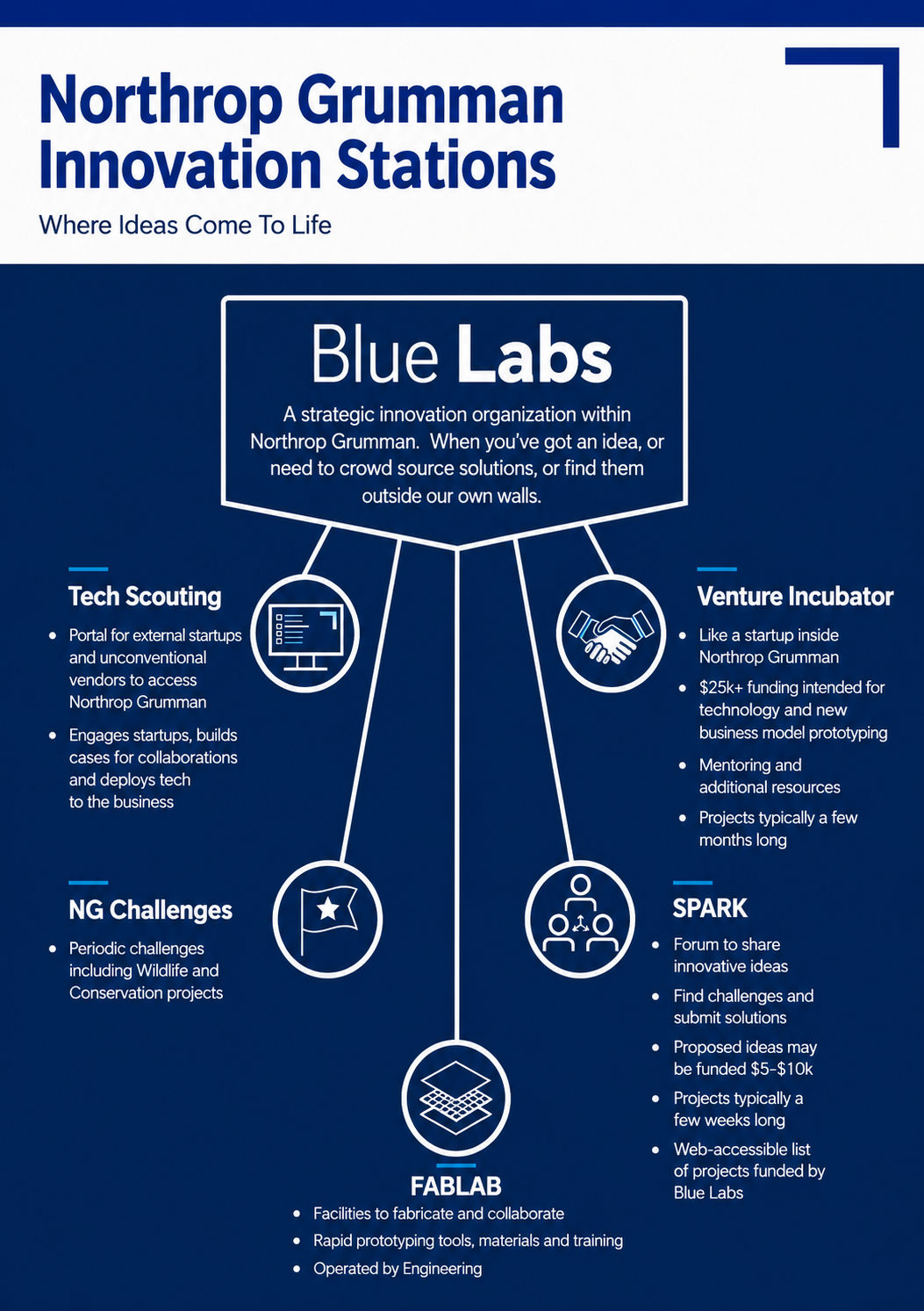 Northrop Grumman Infographic - Free AI Infographic Generator, 50+ Real Infographic Examples