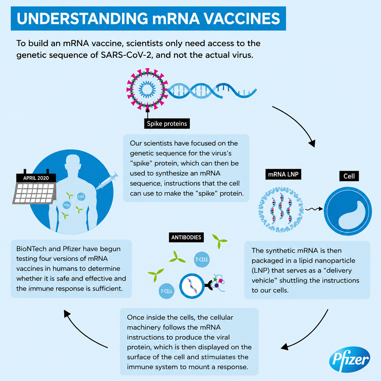 Pfizer Infographic - Free AI Infographic Generator, 50+ Real Infographic Examples