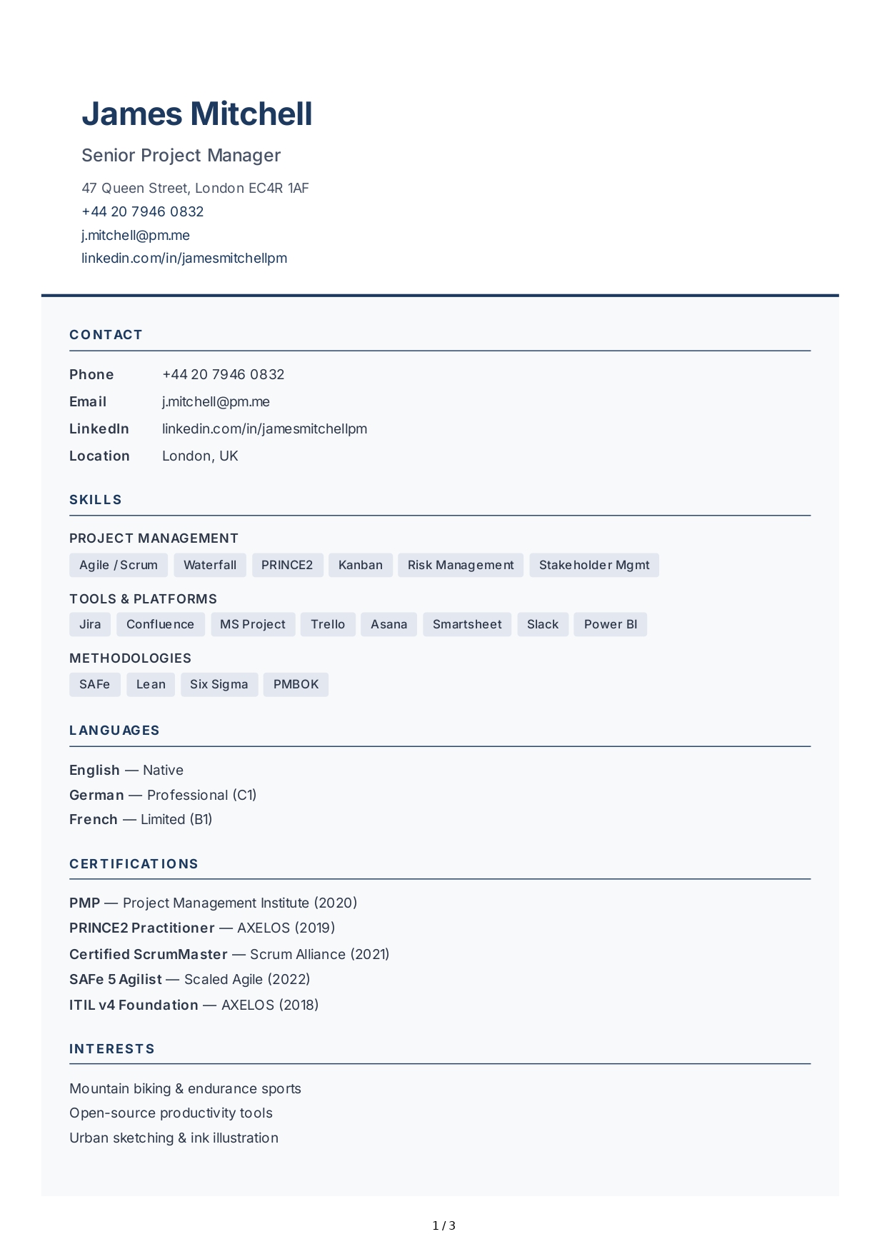Project Manager CV - Free AI CV Maker, 50+ Real CV Examples