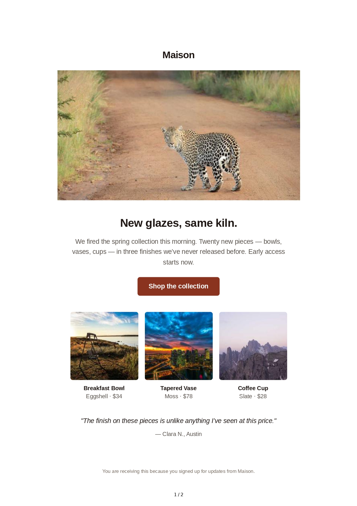 Promotional Email - Free AI Email Generator, 50+ Real Email Examples