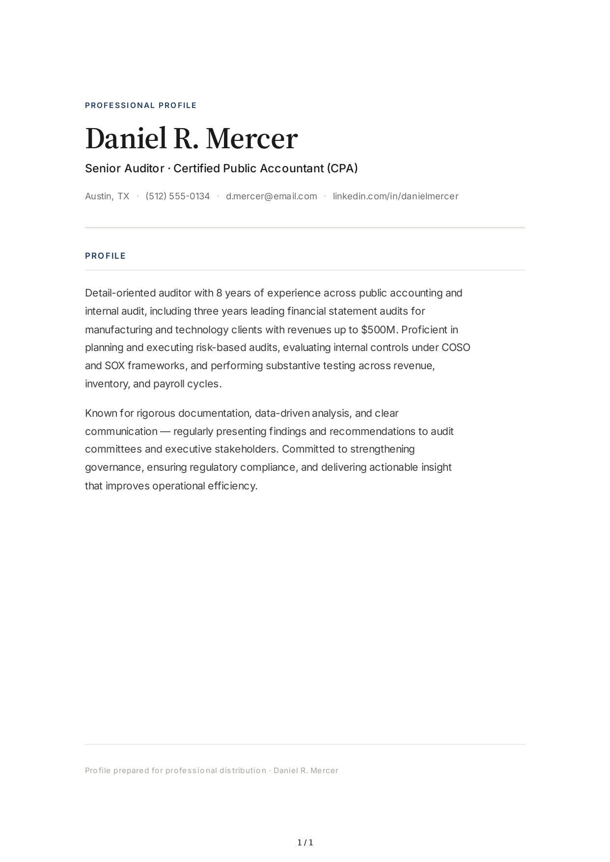 Auditor Resume Profile - Free AI Resume Profile Generator, 50+ Real Resume Profile Examples