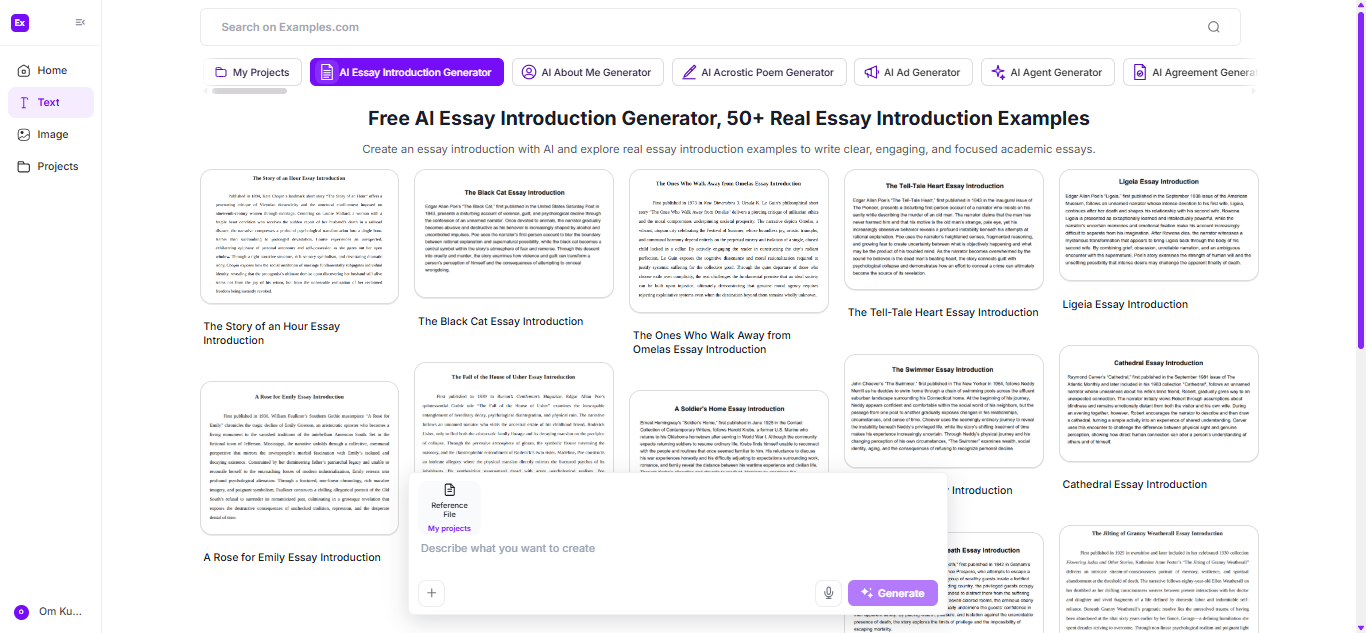 Essay Introduction Examples