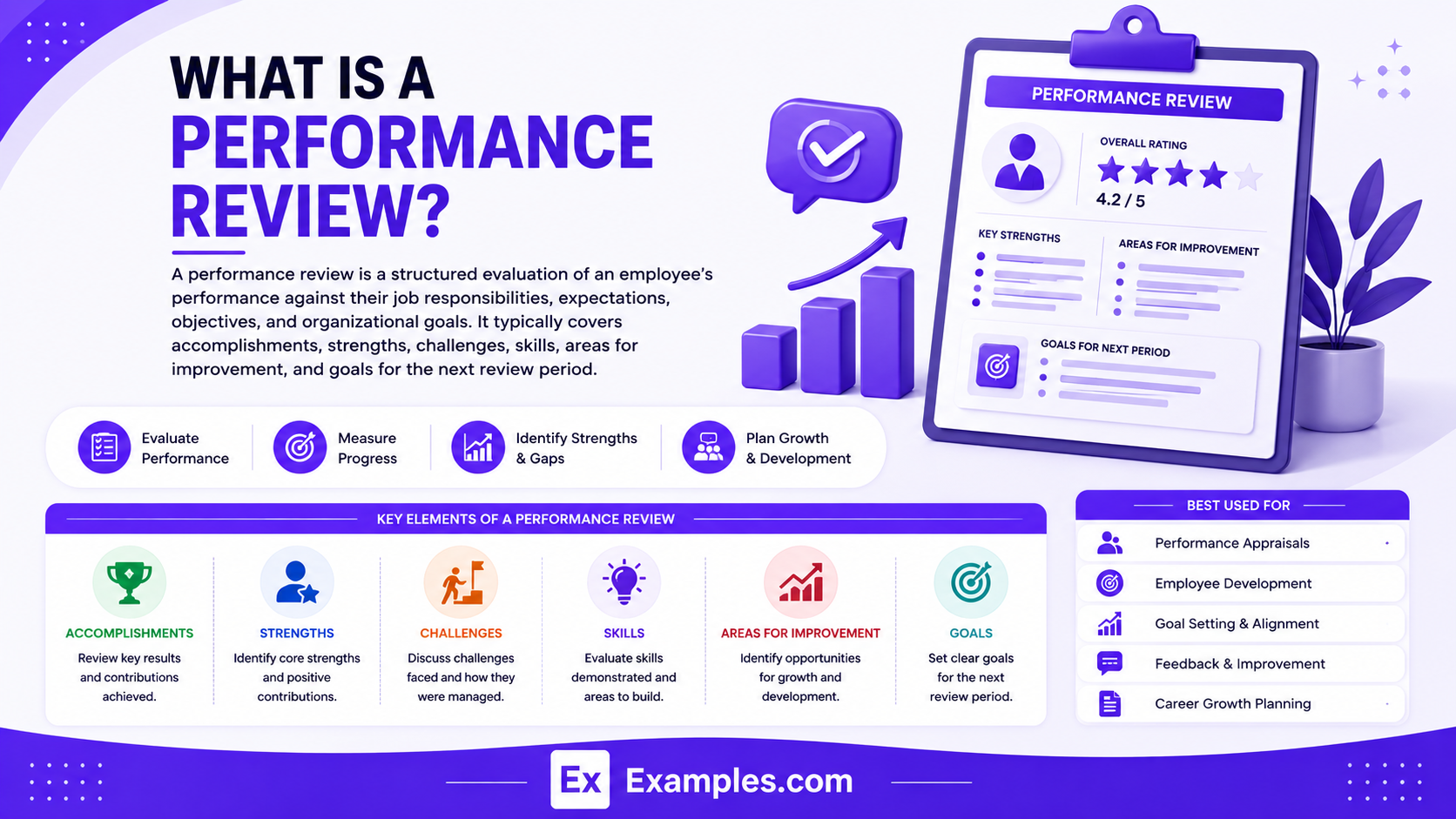 Performance Review Examples