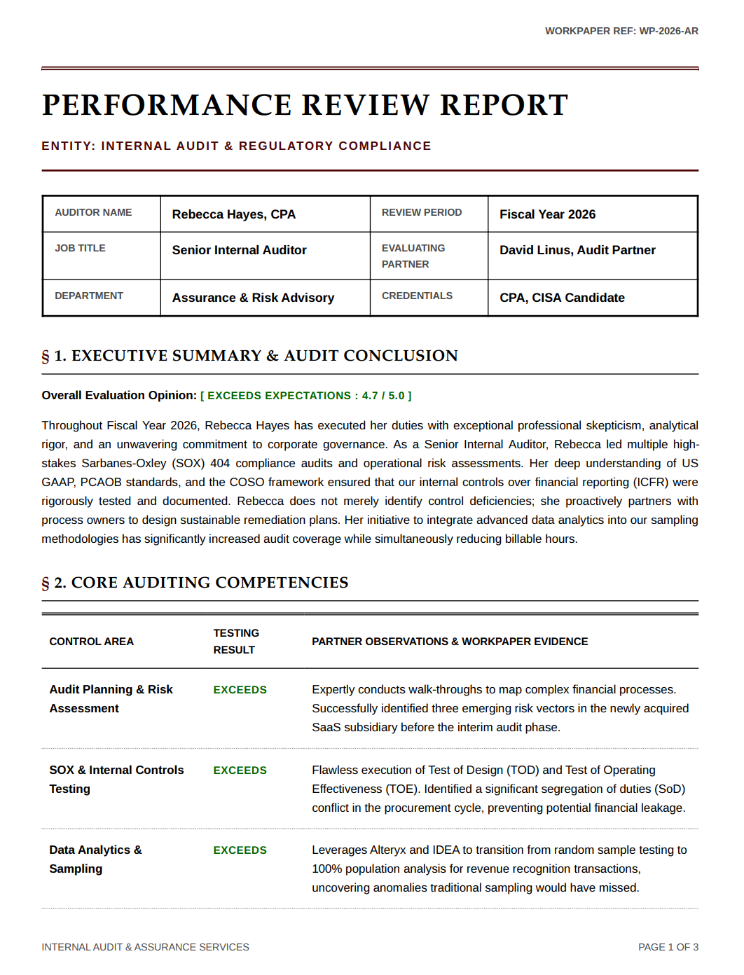 Auditor Performance Review - Free AI Performance Review Generator, 50+ Real Performance Review Examples