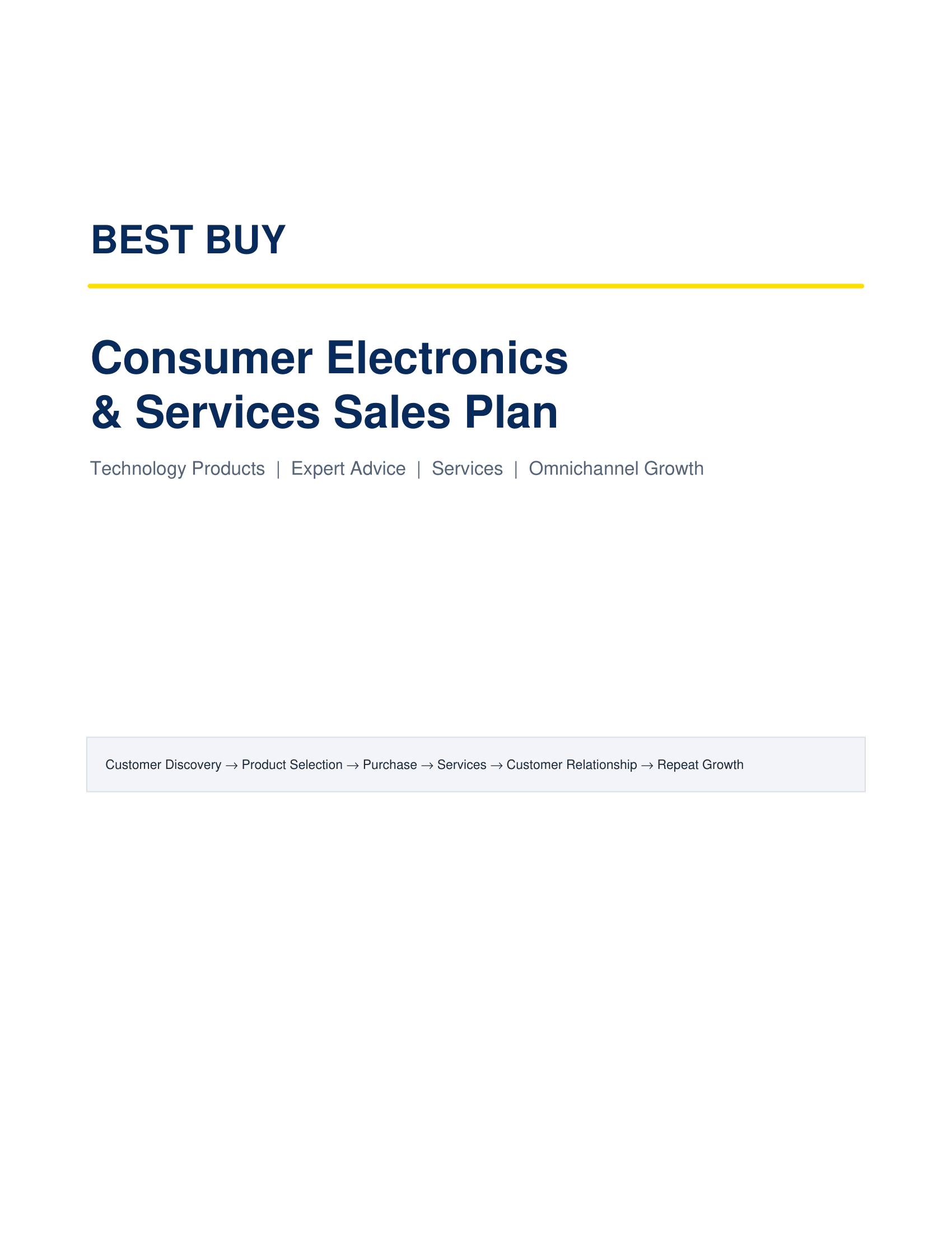 Best Buy Consumer Electronics & Services Sales Plan - Free AI Sales Plan Generator, 50+ Real Sales Plan Examples