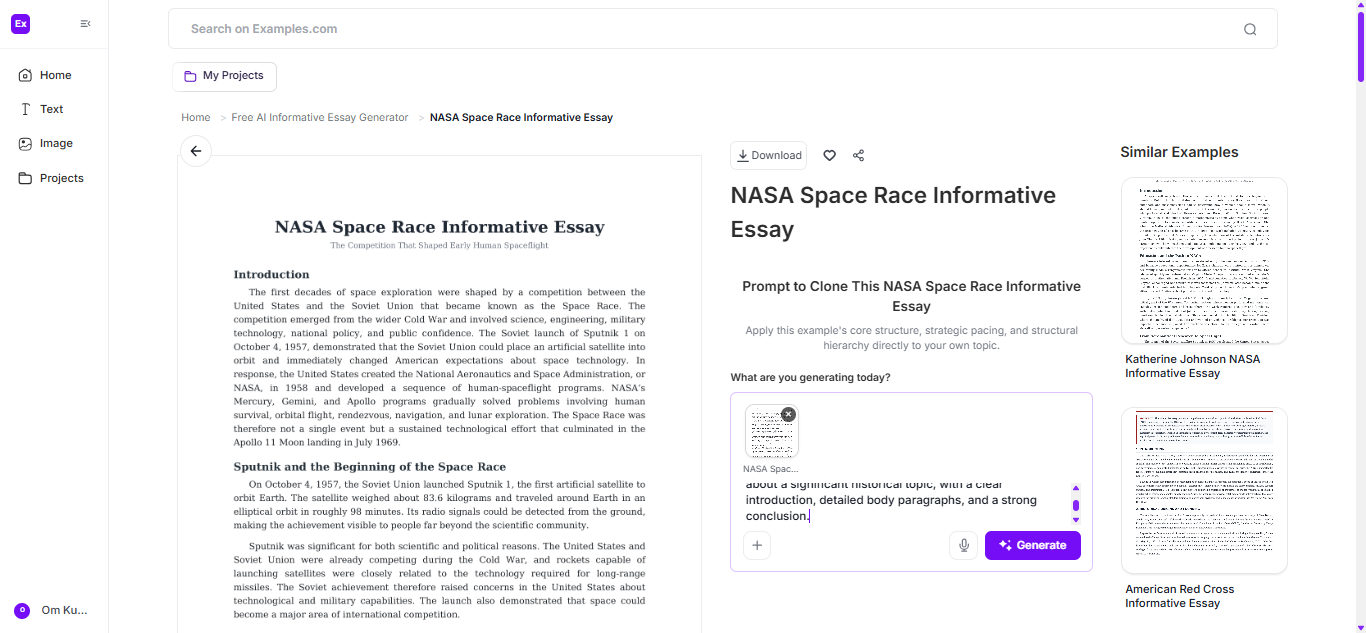 Informative Essay Examples