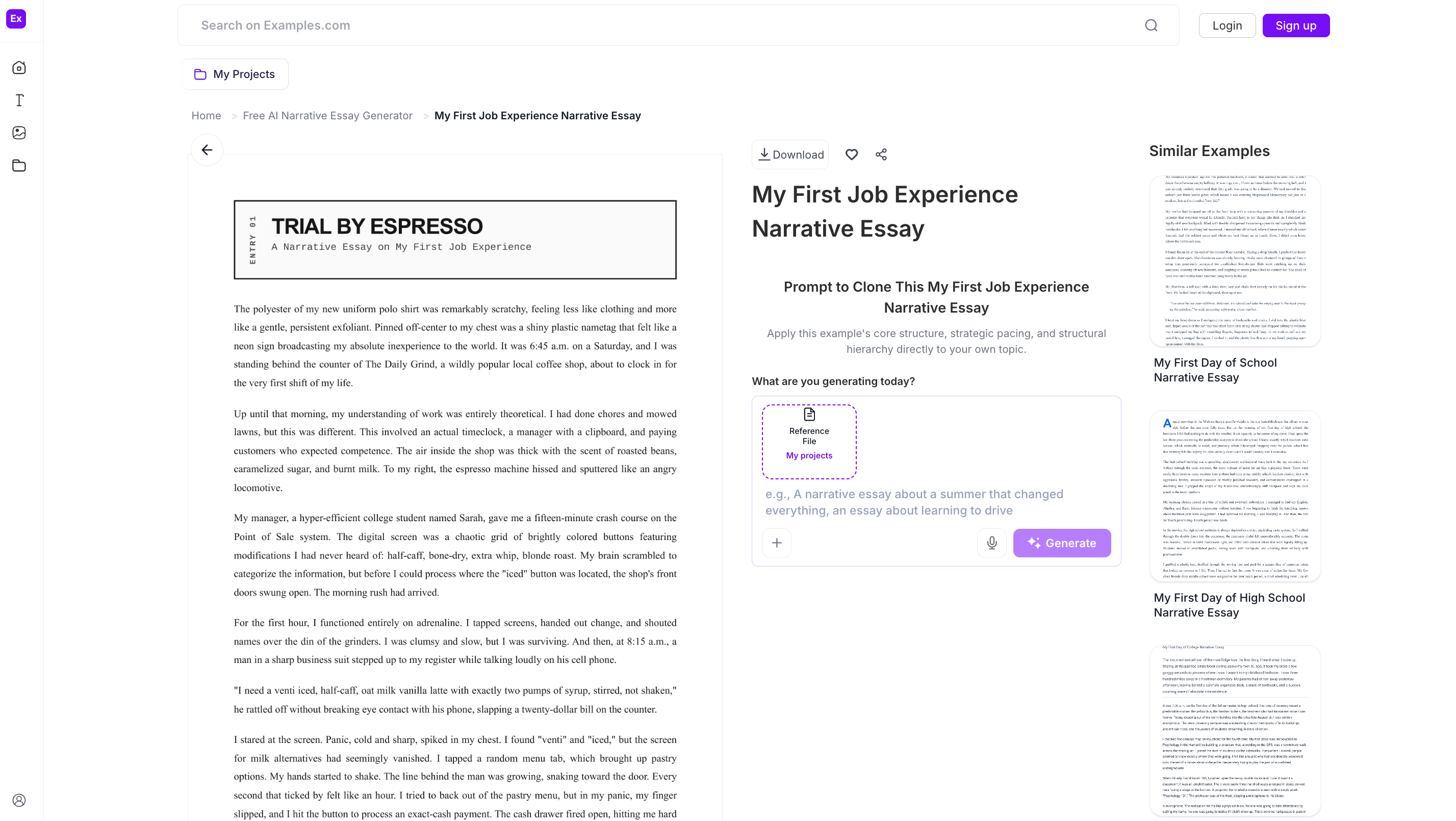 Narrative Essay Examples