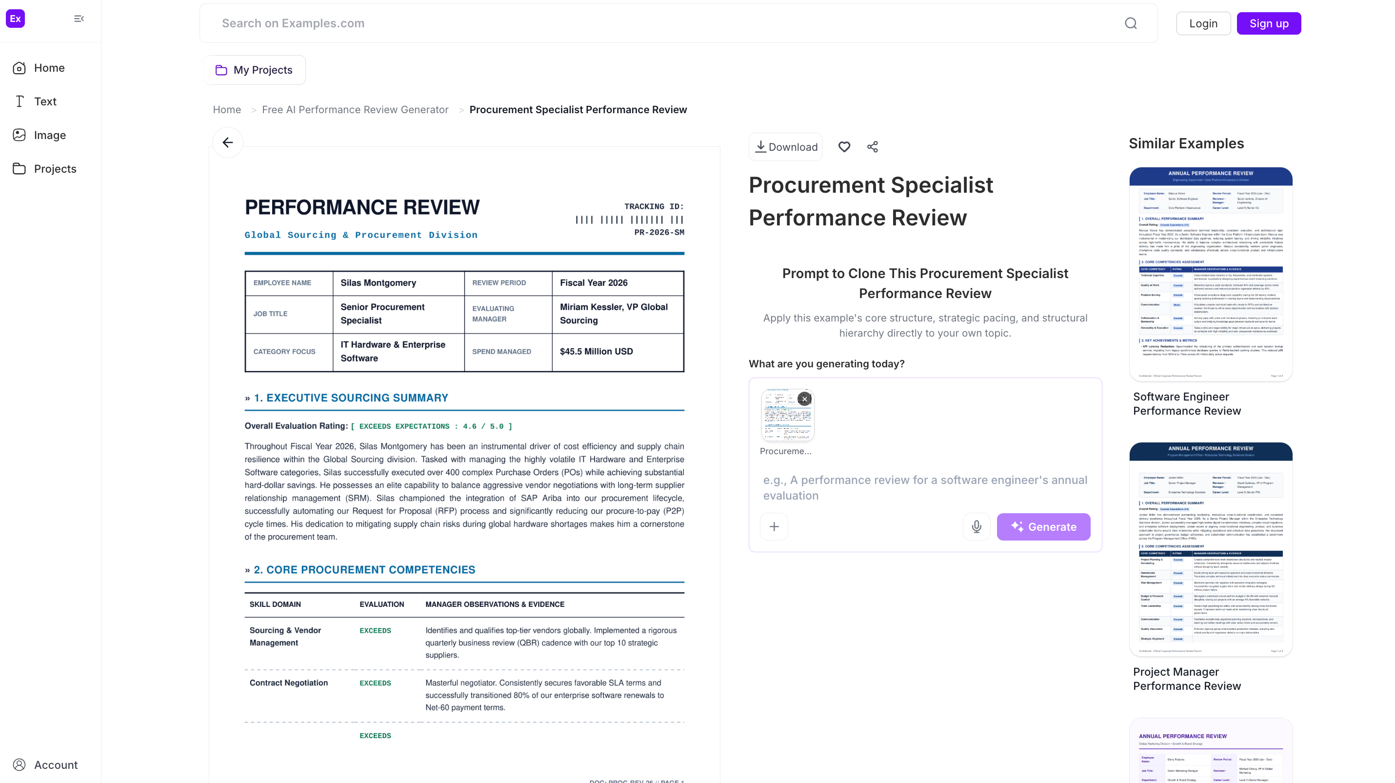 Performance Review Examples