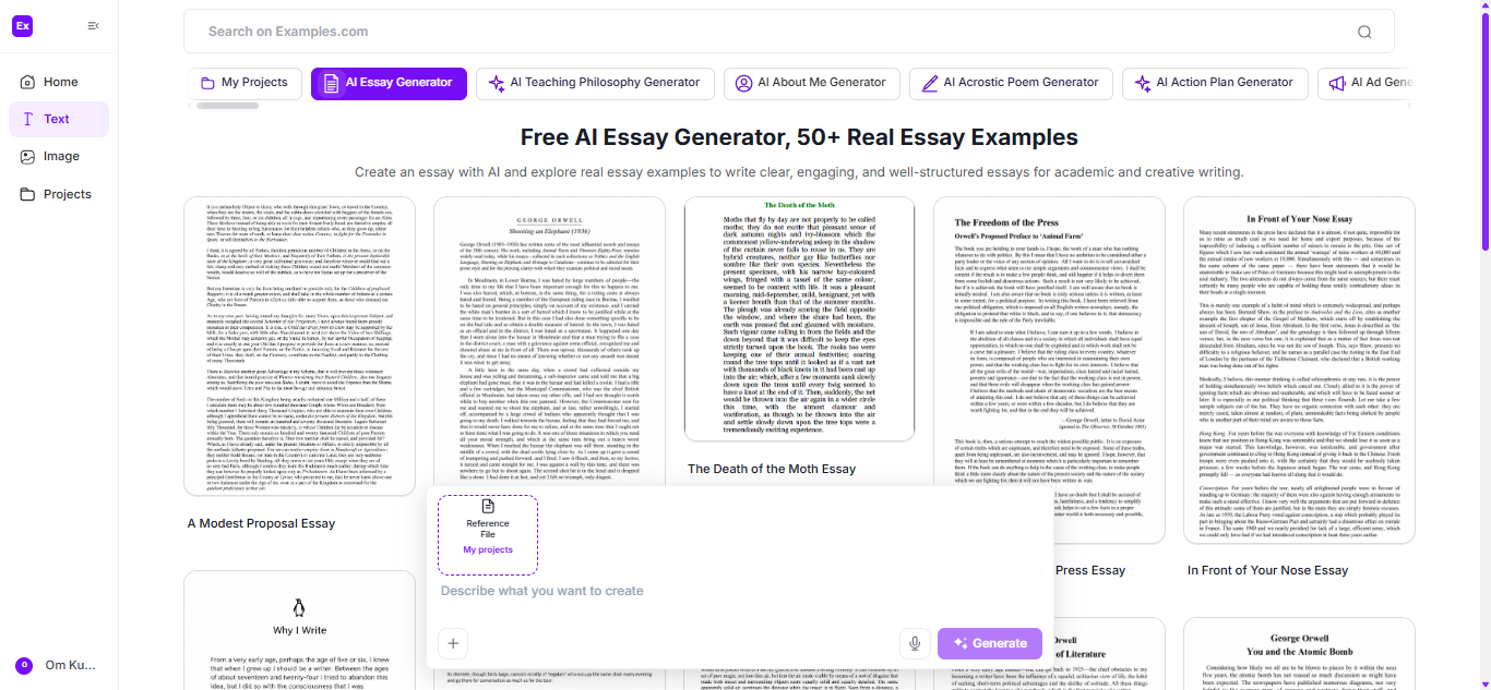 Essay Examples