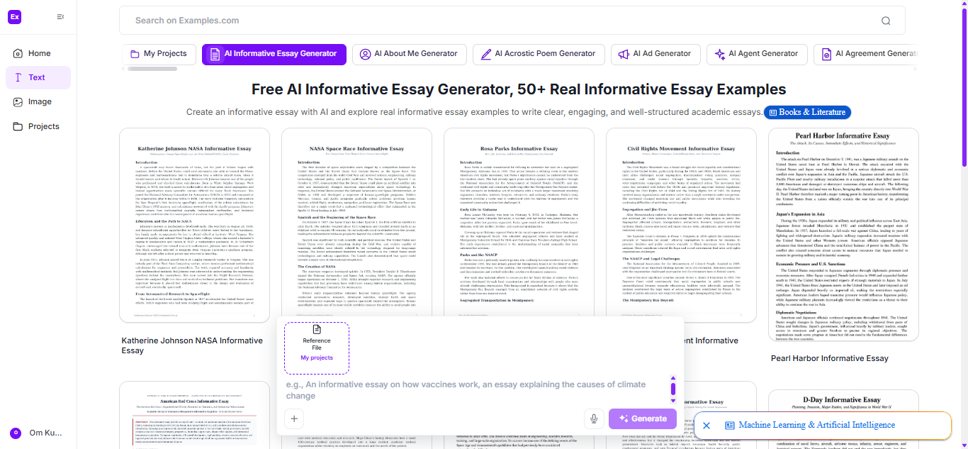 Informative Essay Examples