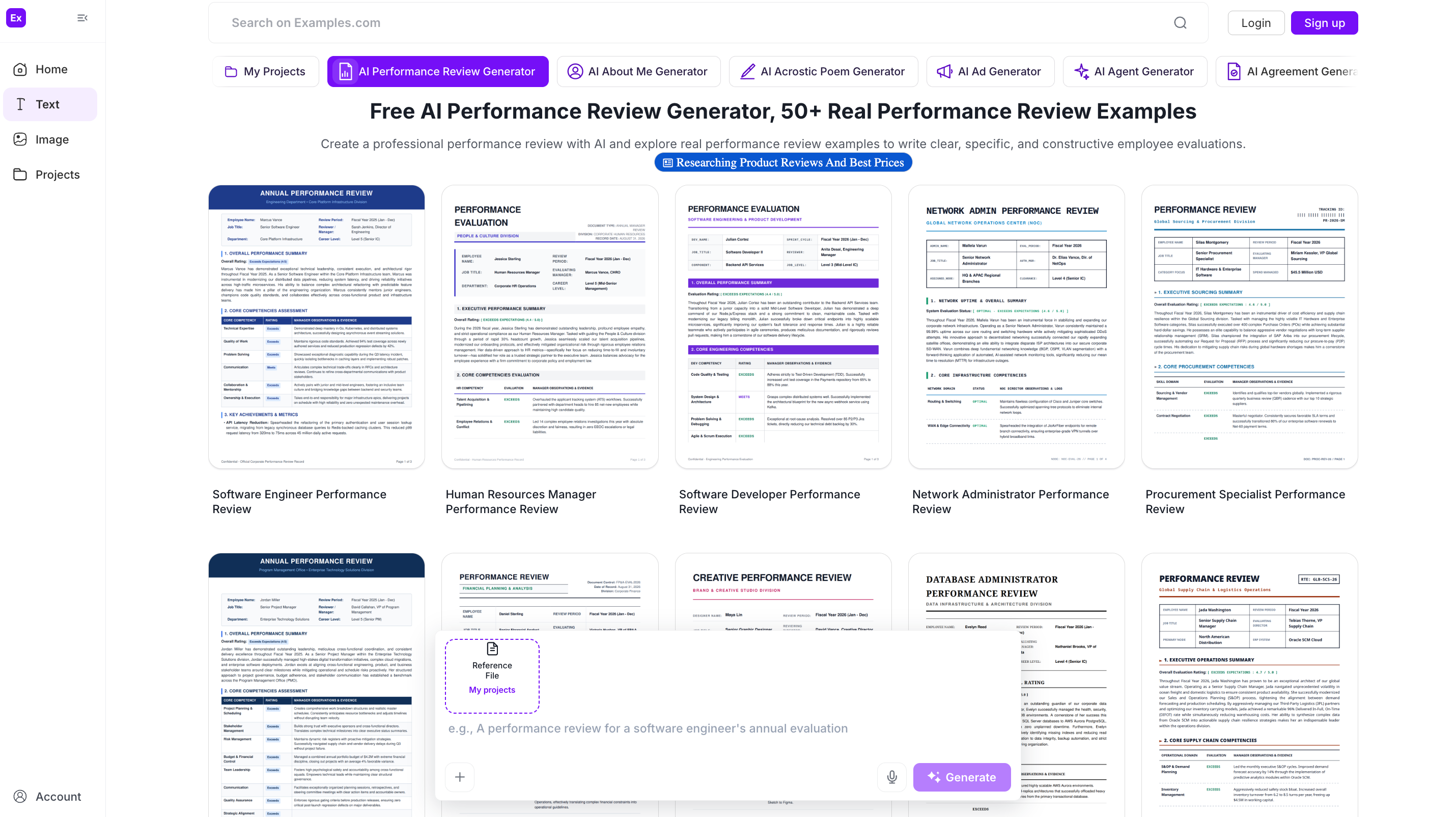 Performance Review Examples