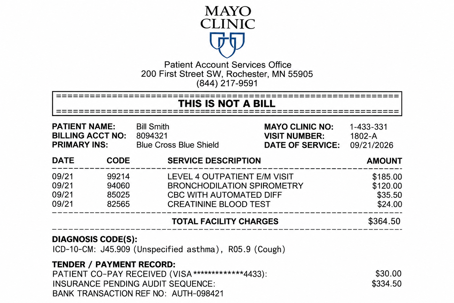 Mayo Clinic Itemized Statement of Charges Receipt - Free AI Receipt Generator, 50+ Real Receipt Examples