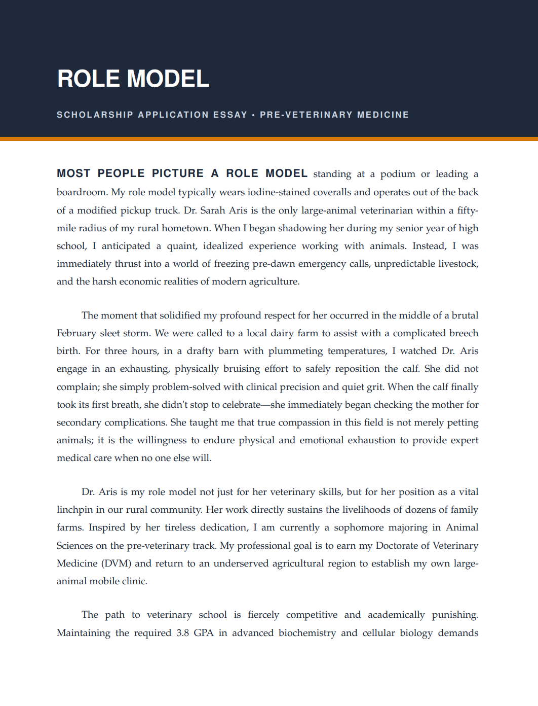 Role Model Scholarship Essay - Free AI Scholarship Essay Generator, 50+ Real Scholarship Essay Examples