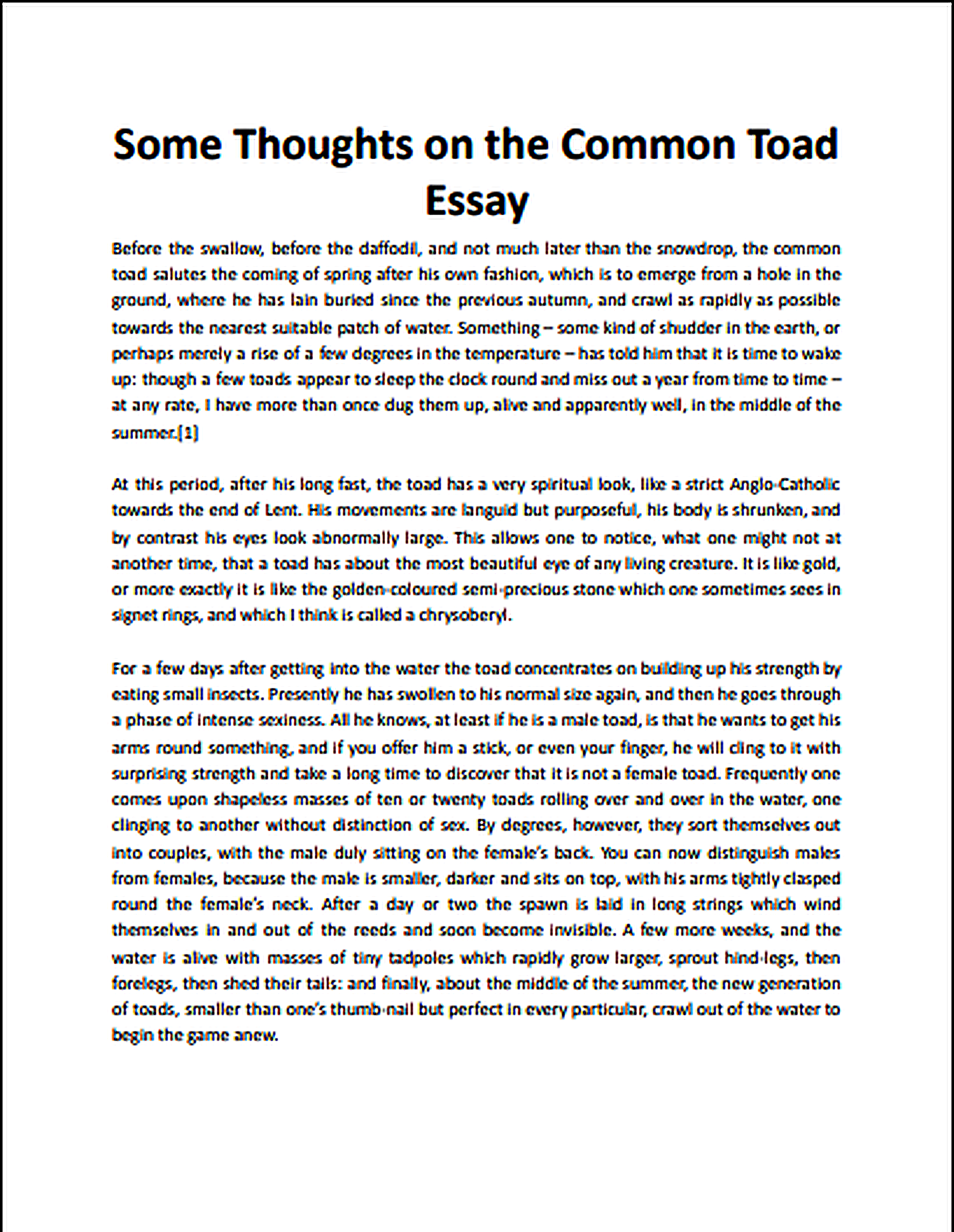 Some Thoughts on the Common Toad Essay - Free AI Essay Generator, 50+ Real Essay Examples
