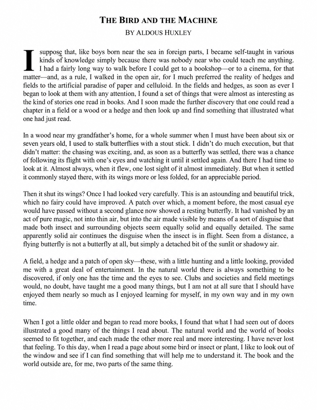The Bird and the Machine Essay - Free AI Essay Generator, 50+ Real Essay Examples