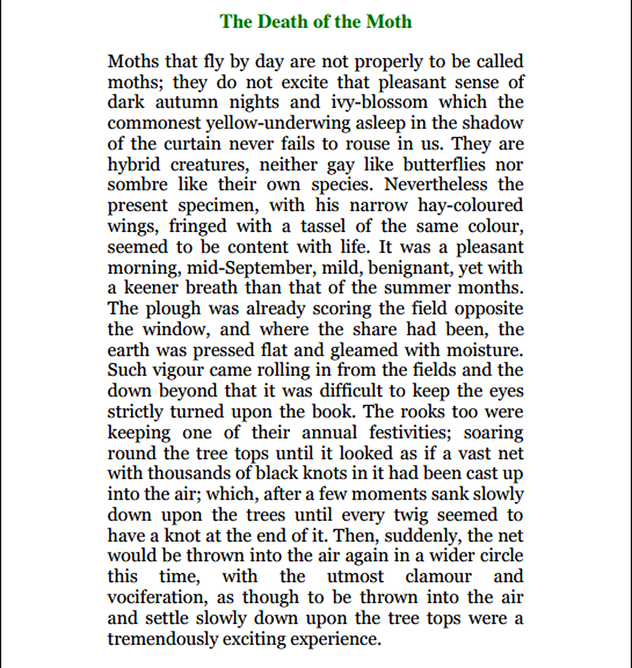 The Death of the Moth Essay - Free AI Essay Generator, 50+ Real Essay Examples