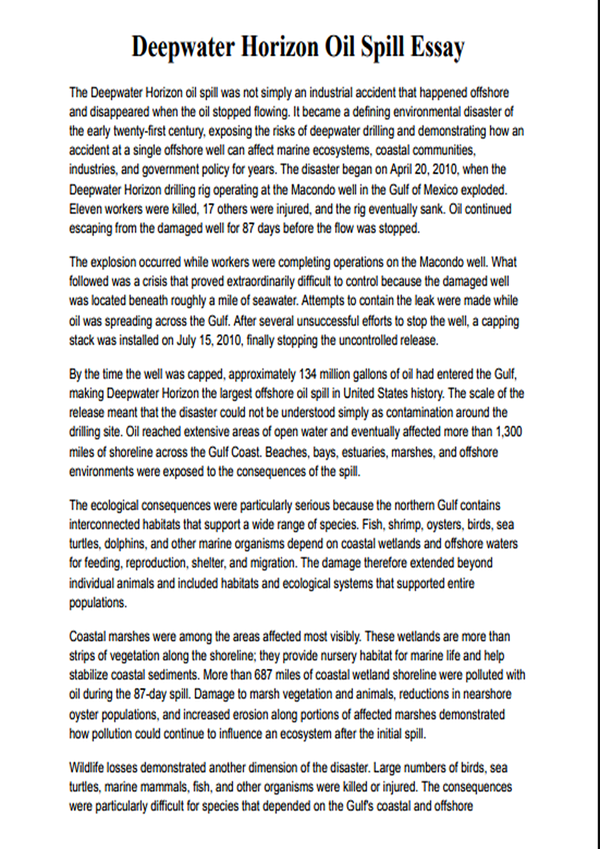 Deepwater Horizon Oil Spill Essay - Free AI Essay Generator, 50+ Real Essay Examples