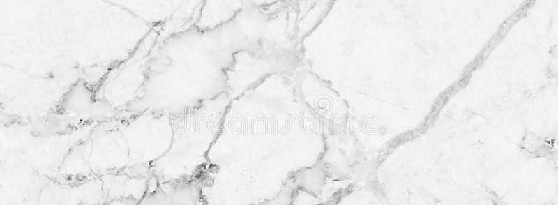 Page 4 Image 9