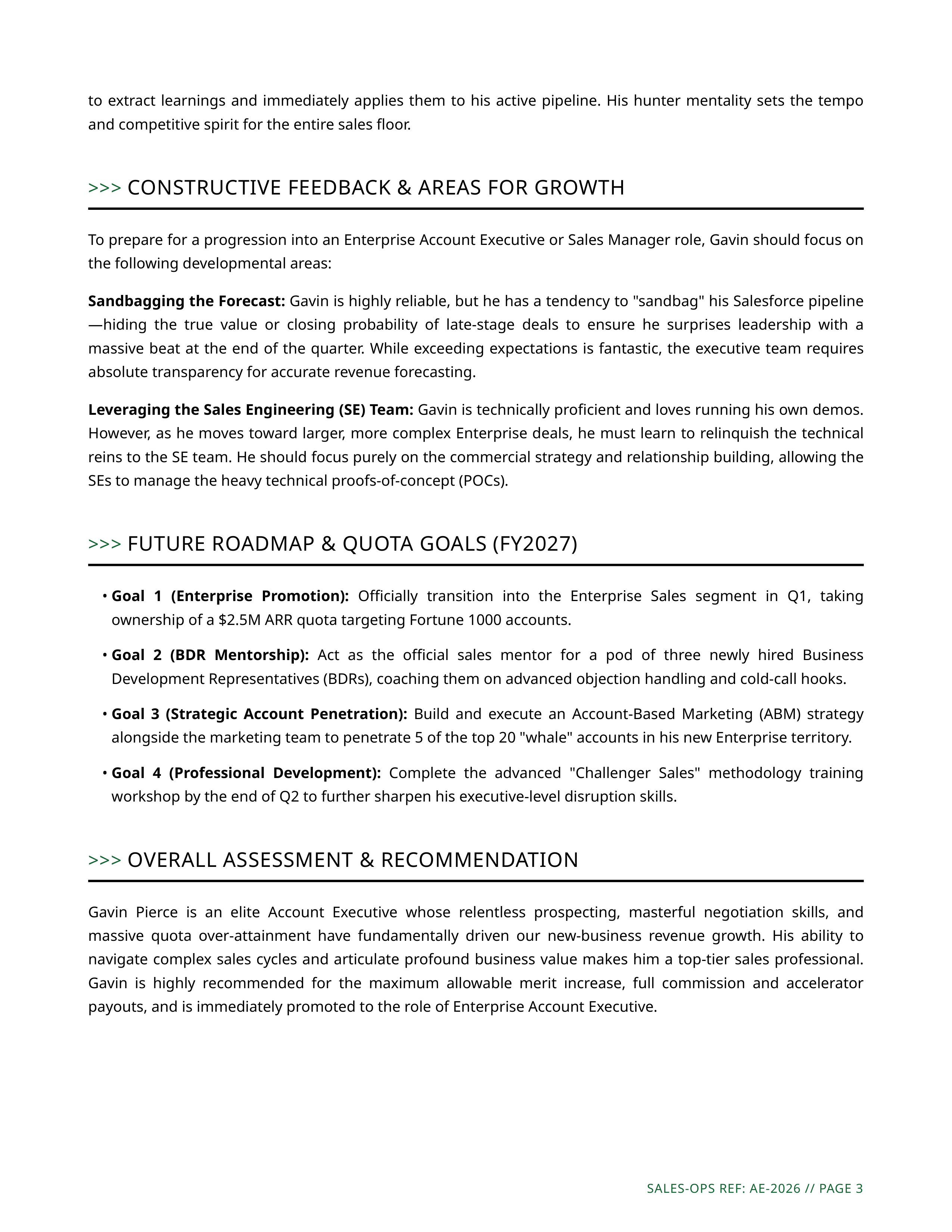 Account Executive Performance Review — page 3