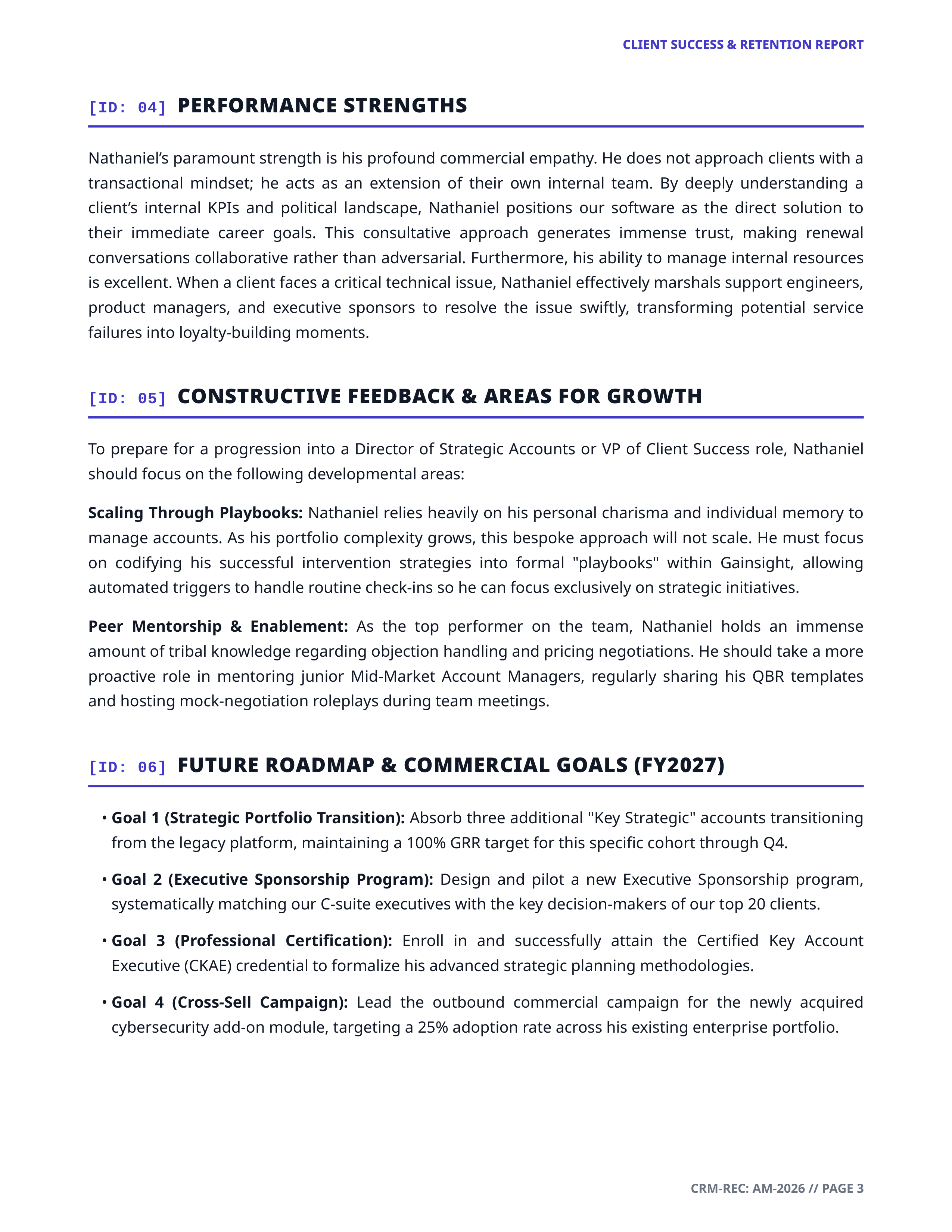 Account Manager Performance Review — page 3