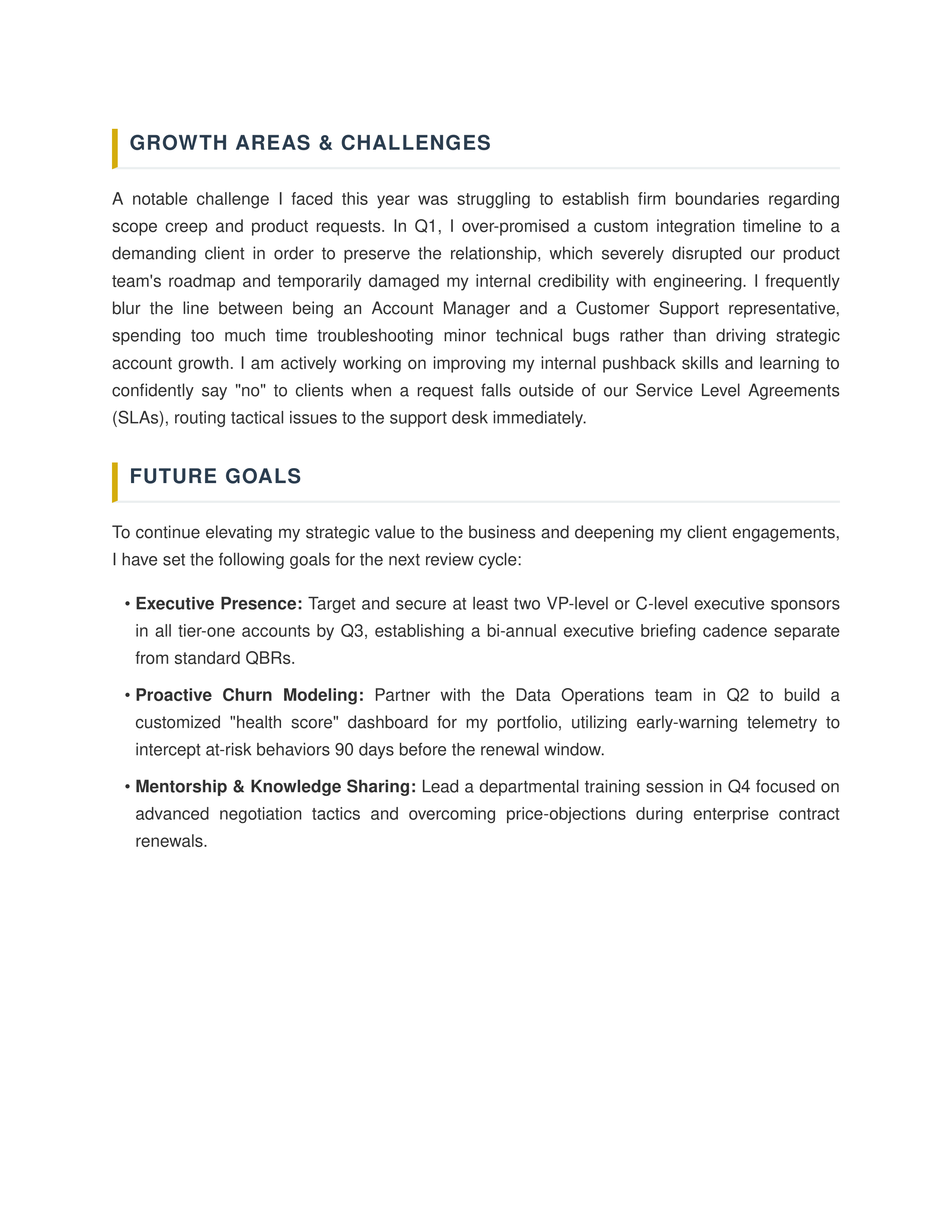 Account Manager Self Performance Review — page 2